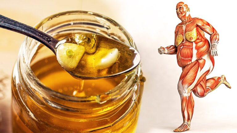 L&#8217;impatto del miele sulla salute gastrica: verità o malintesi?